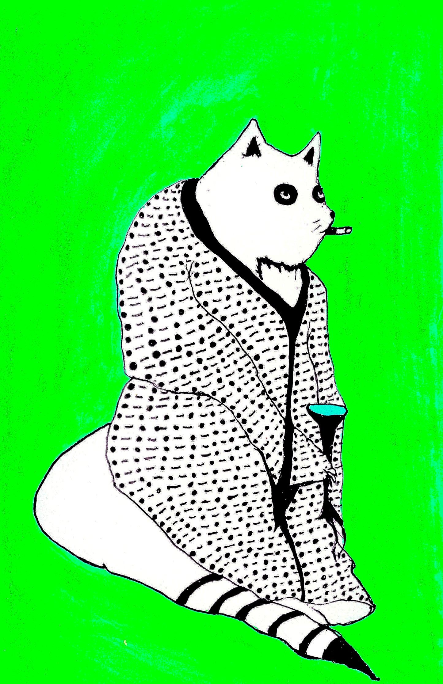 Kimono Raccoon (Postcard)